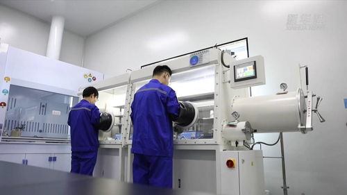 淄博科技向新引領產業向高 信息技術咨詢服務驅動企業轉型升級